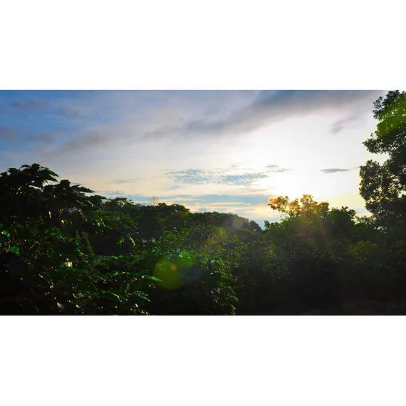 Hacienda Sonora, 1000g